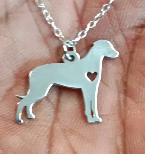 Rhodesian ridgeback sterling - rhodesian,