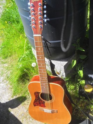 String acoustic guitar - 12,