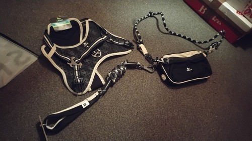 Dog harness