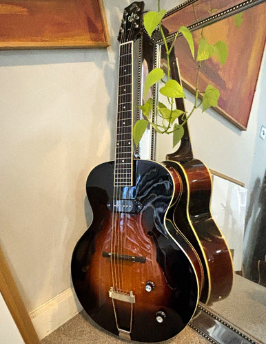 The loar 309 hollow - loar,