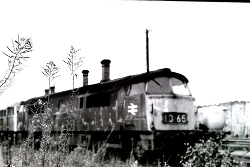 Class western 1065 westbury - western,
