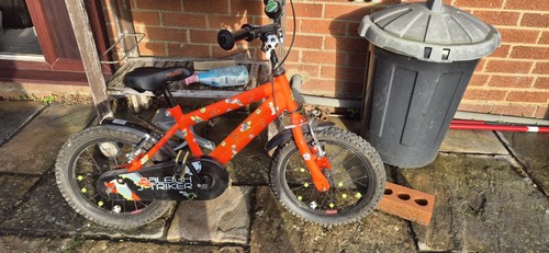 Raleigh striker boys - striker,