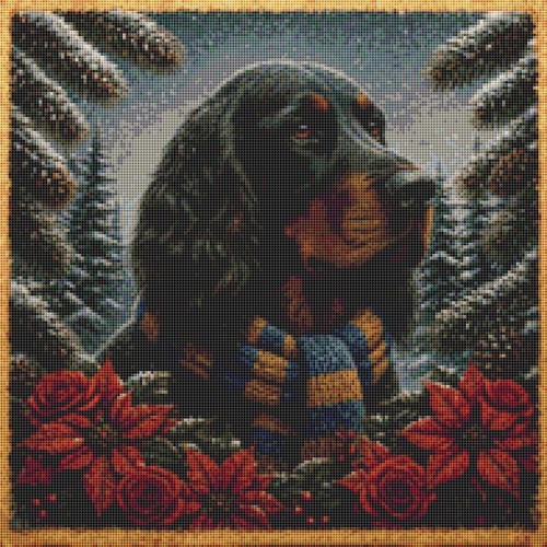 Gordon setter winter - setter, time