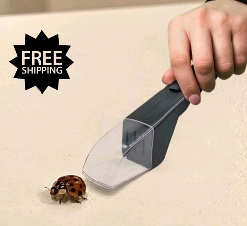 Handheld insect catcher - insect, spider