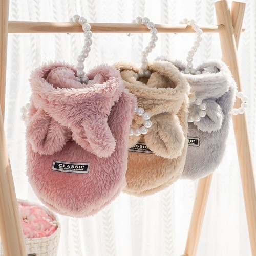Autumn winter pet puppy cat - winter,