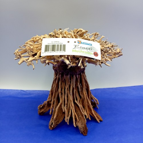 Superfish bonsai mushroom tree - superfish,