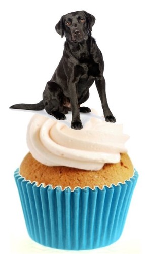 Novelty cute black labrador - black,