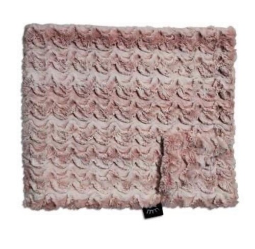 Winx and blinx luxury minky - winx,
