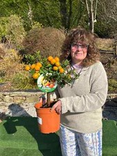 1 x Citrus Orange real fruit