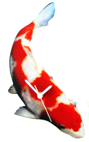 Koi carp clock fish - -,