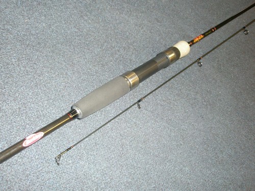 Berkley fireflex 2pc - 2pc, spinning