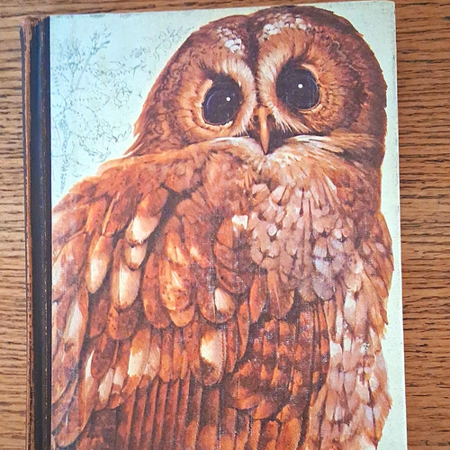 Reader digest book - reader's,
