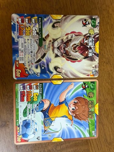 Inazuma eleven matsukaze - eleven, go