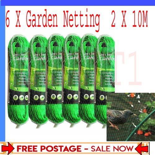 Garden bean x 10m - 10m, and