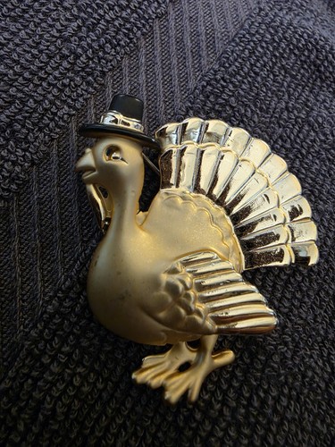 Pilgrim turkey thanksgiving - pilgrim,