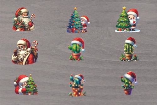 Mixed christmas cactus - 9x,