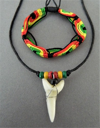 Large shark tooth - , replica
