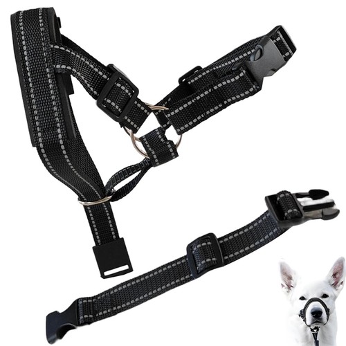Black reflective dogs - dogs, head