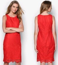 STUNNING DRESS by WALLIS UK 14