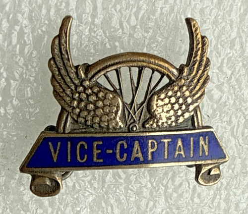 Cycling enamel badges - badges,