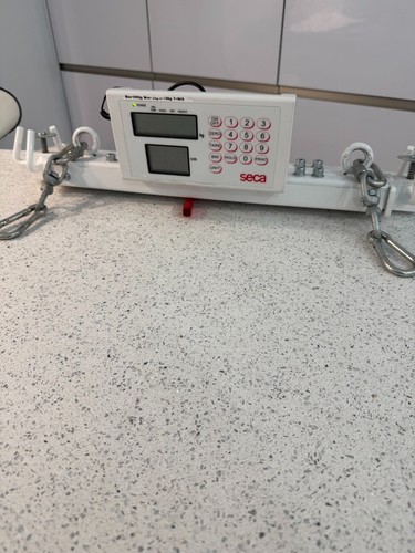Seca digital hoist patient - seca,