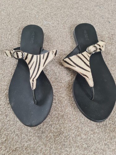 Ladies next zebra print - ladies, pony