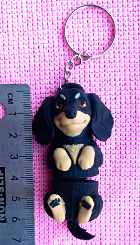 Dachshund style dog - style,
