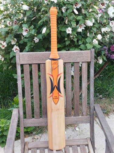 Woodworm freddie flintoff - freddie, the