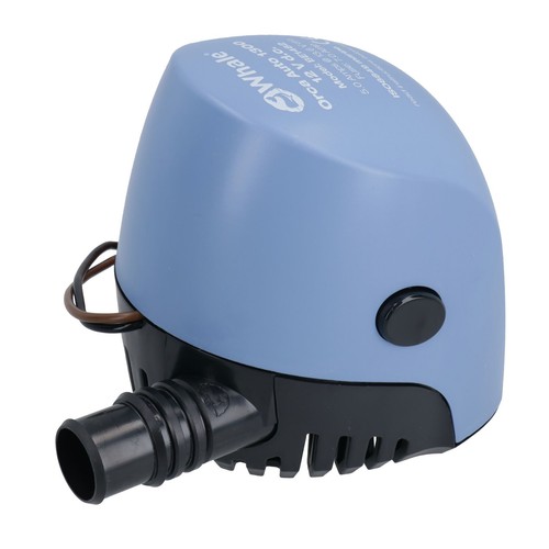 Genuine whale orca - 1300, bilge