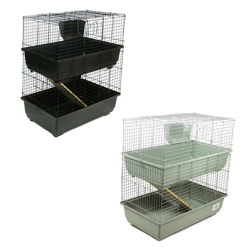 Rabbit guinea pig - rabbit, cage