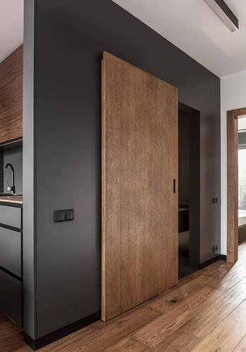 Concealed ghost door read - concealed,