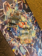 real life bugs and insects