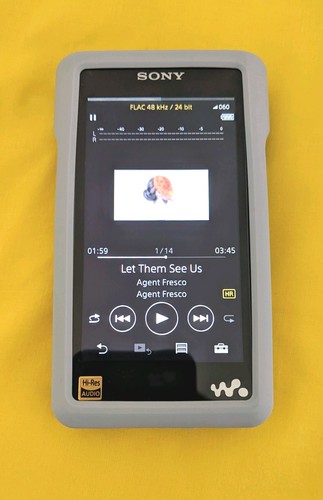 Sony wm1a walkman 128gb - walkman,