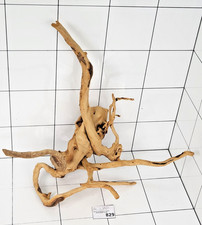 Premium Natural Aquarium Red