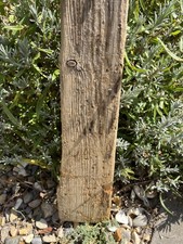 41 cm LONG FLAT DRIFTWOOD