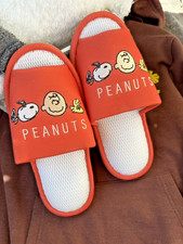 Peanuts Snoopy House Slippers