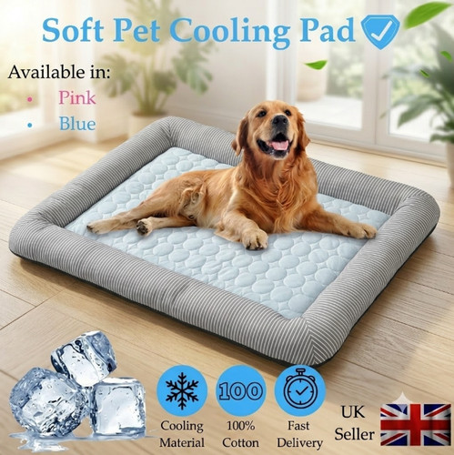New pet cooling bed - pet, dogs