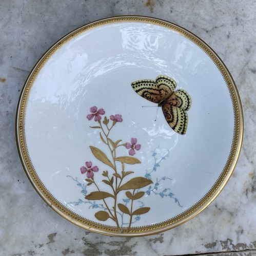 Quality antique 19thc royal - antique,