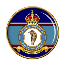 114 Squadron, RAF Pin Badge