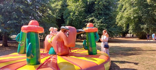Non mechanical pull rodeo - , bull