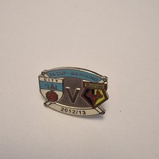 Man City V Watford Badge
