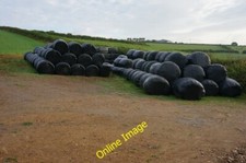 Photo 6x4 Winter feed St Ann's