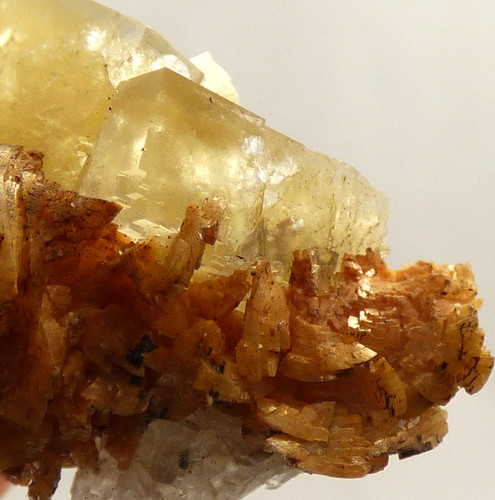 Yellow fluorite crystals - yellow,
