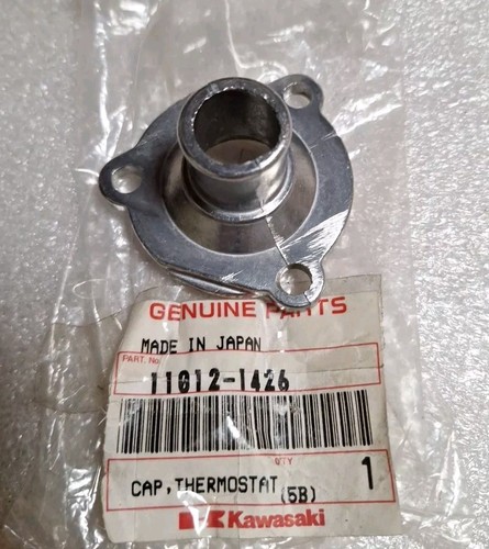 Kawasaki 125 thermostat - kawasaki,