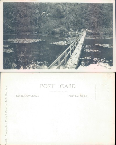 Bridge over lily - pond, in