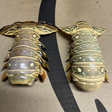 TWIN 2 Maine Lobster Tail’s