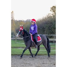 Christmas Saddle Pad Set - Horse and Pony