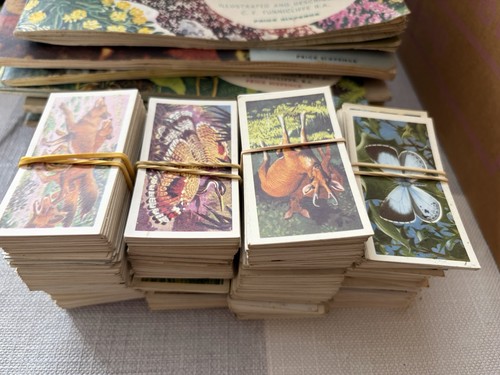 Big selection vintage brooke - big,