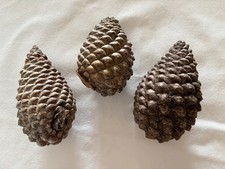 3 X Large Pine Cones For