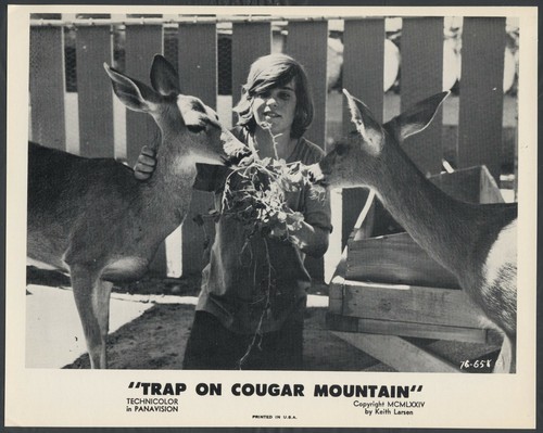Trap cougar mountain 74 - mountain, ’74